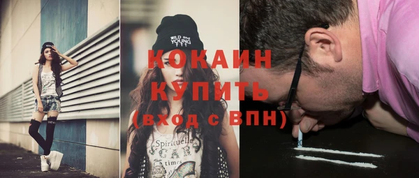 соль ск Каменногорск